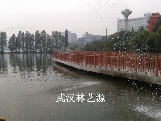 1550944432472790.jpg