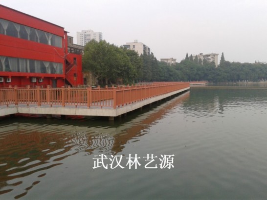 1550944432720395.jpg